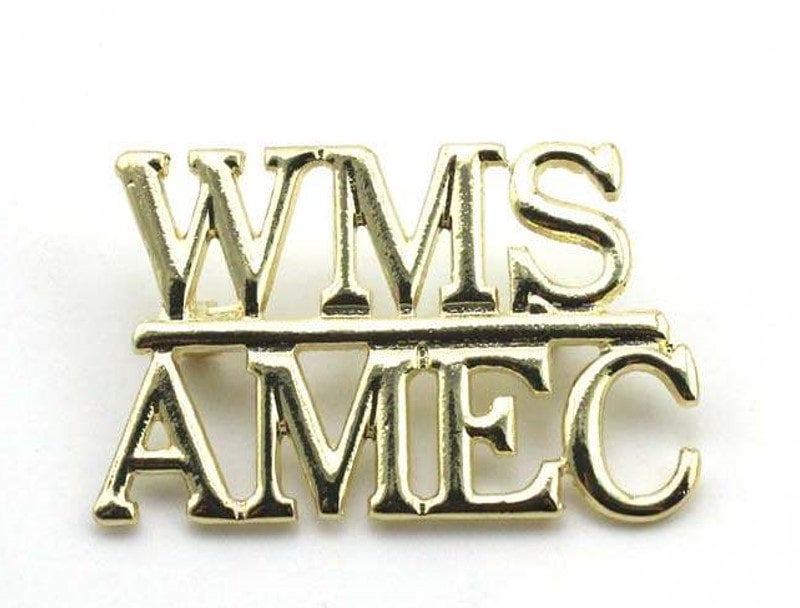 WMS AMEC Pin | WMS-AMEC Branding Boutique